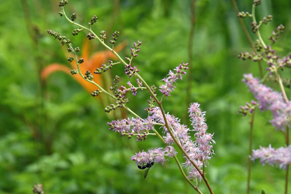 撮影：2020年6月21日