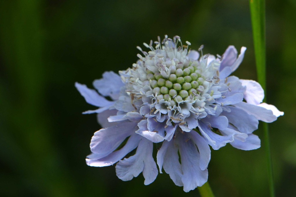 2020年8月3日　撮影