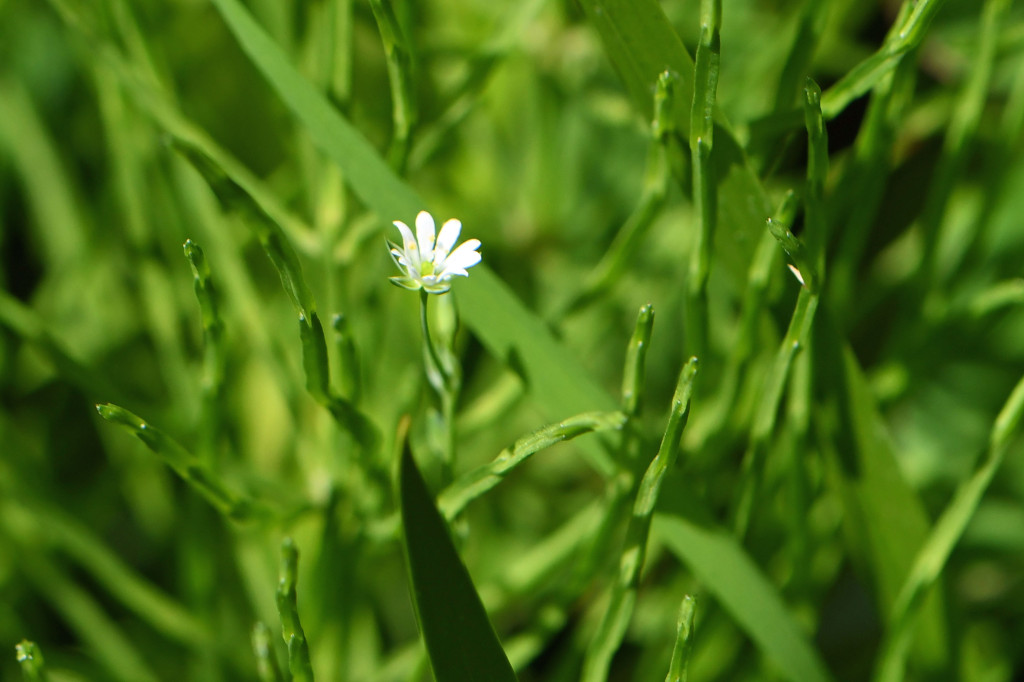 2020年4月14日　撮影