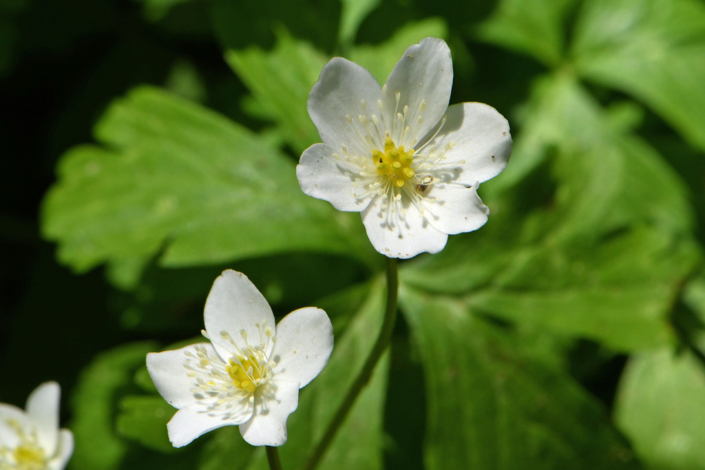 2020年4月14日　撮影