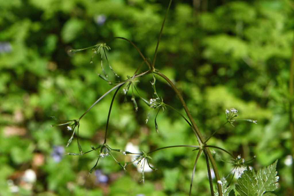 2020年4月14日　撮影