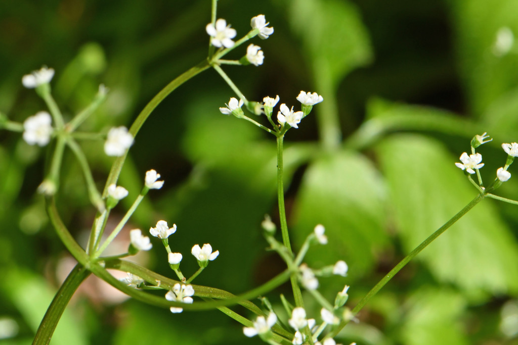 2020年4月14日　撮影