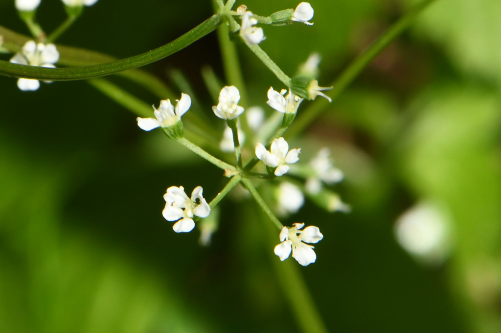 2020年4月14日　撮影