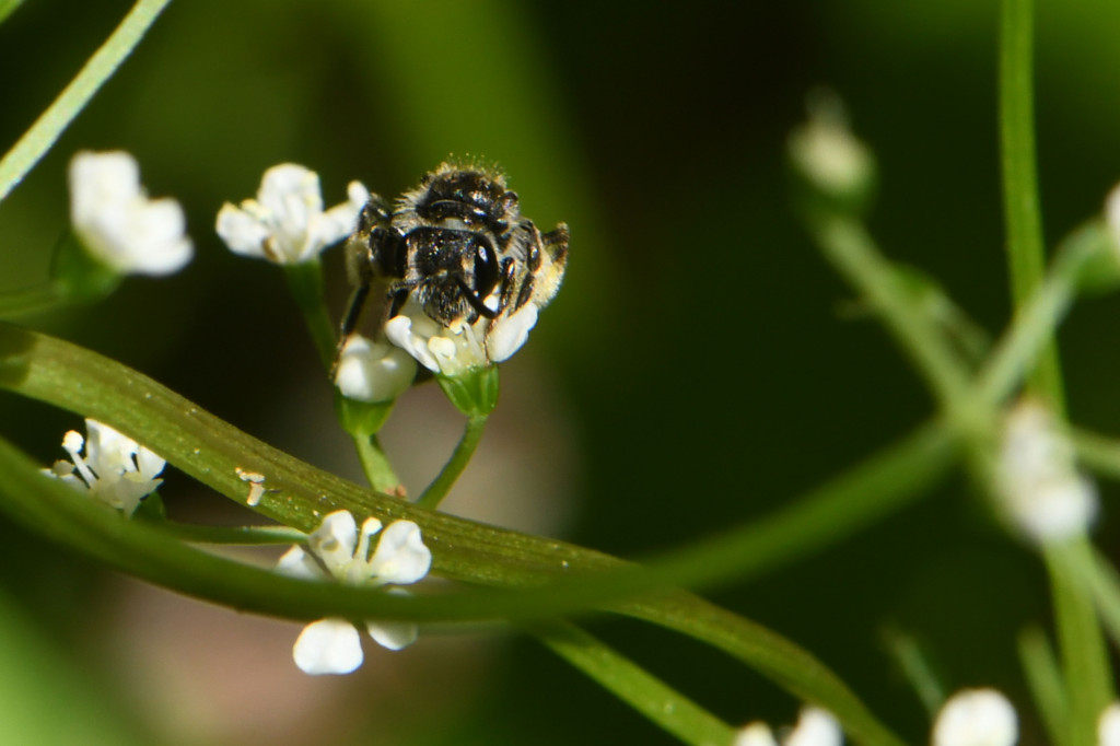 2020年4月14日　撮影