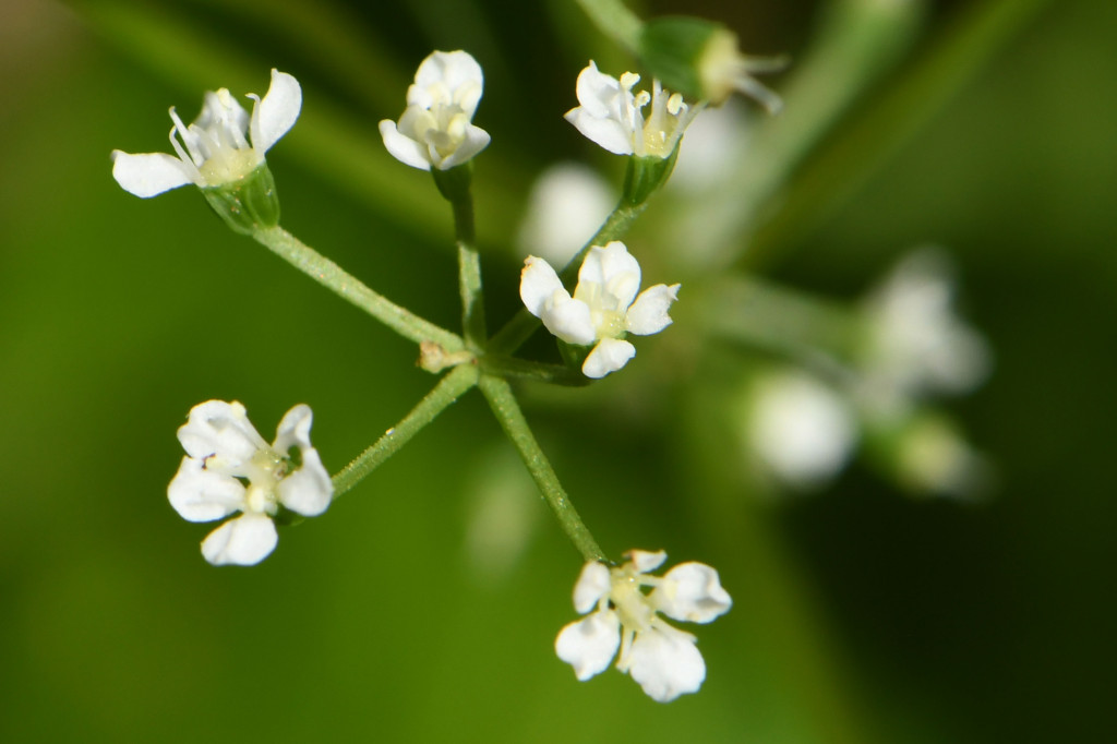 2020年4月14日　撮影
