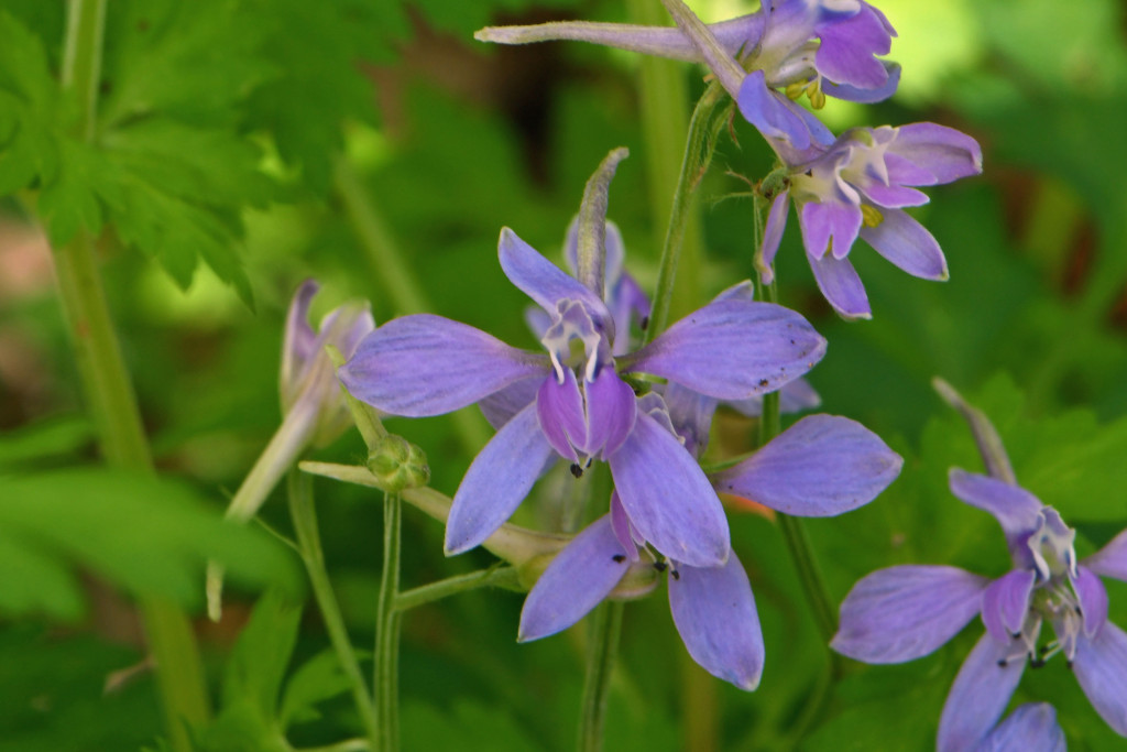 2020年4月14日　撮影