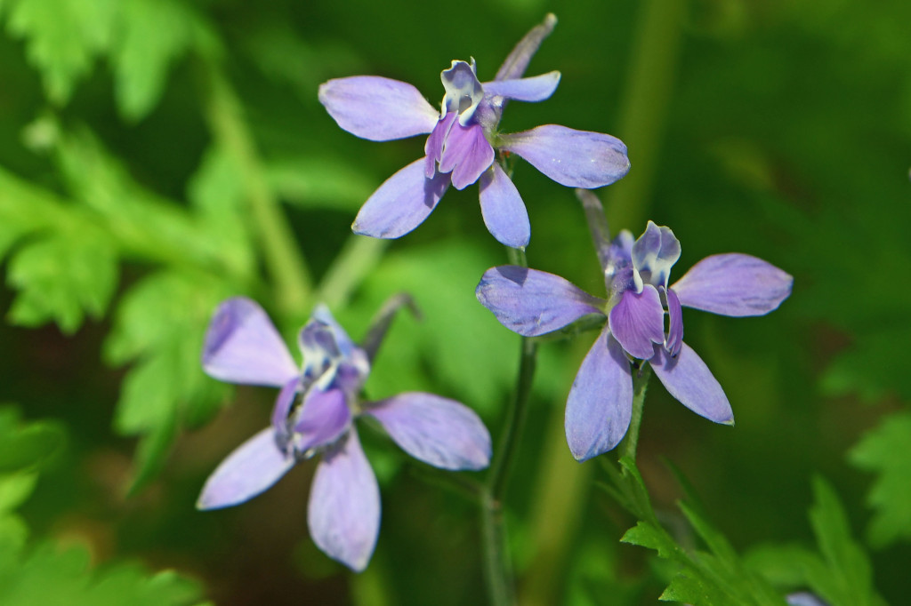 2020年4月14日　撮影