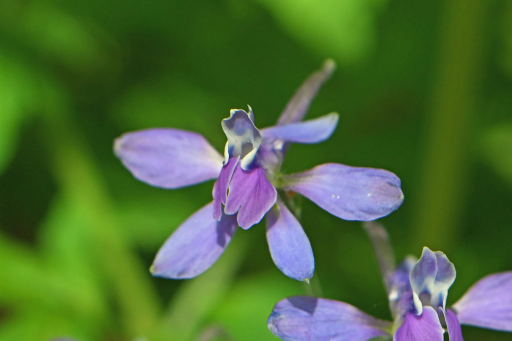 2020年4月14日　撮影