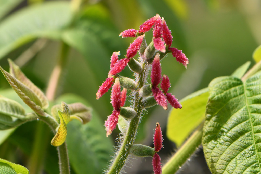 2020年4月17日　撮影