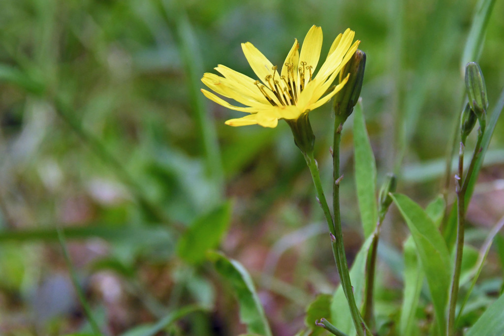 2020年4月22日　撮影