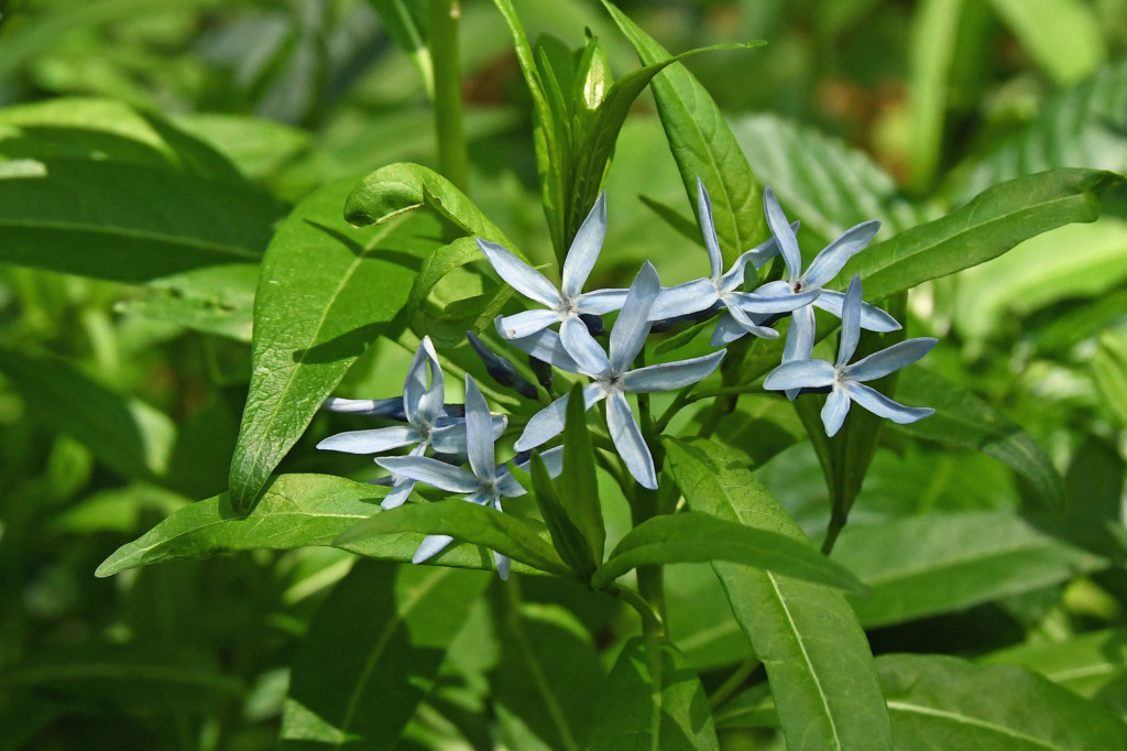 2020年4月26日撮影