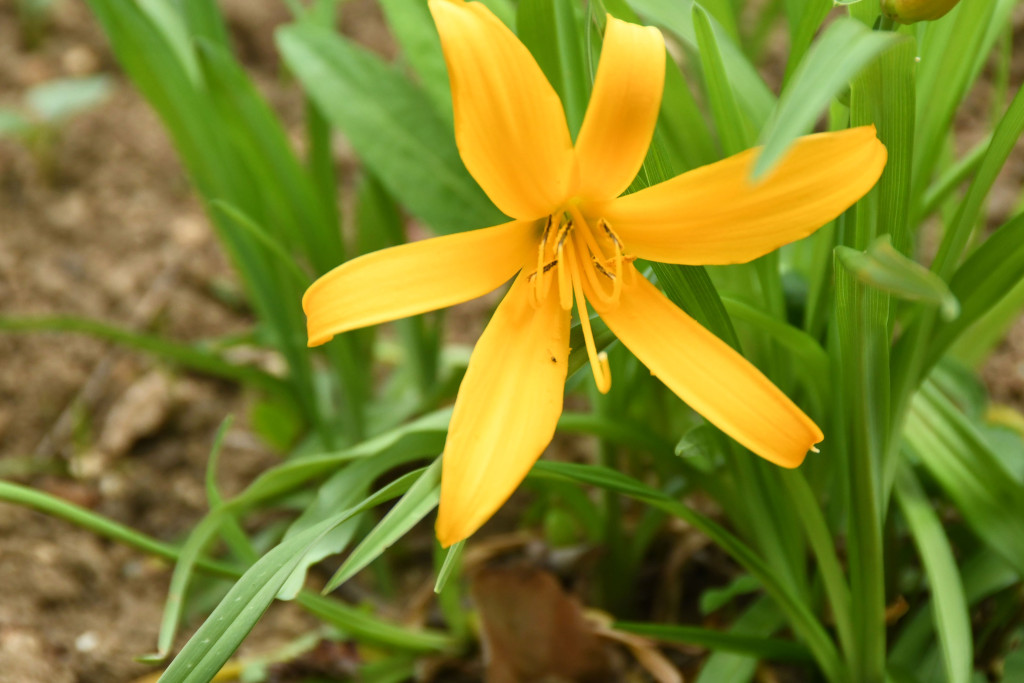 2020年5月5日撮影