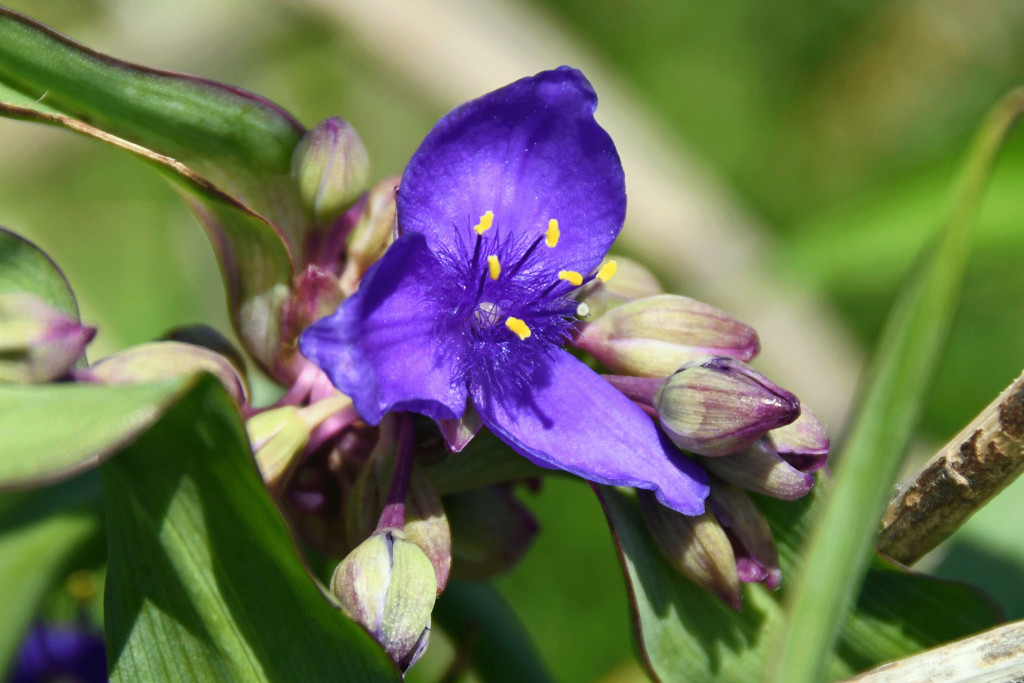 2020年5月7日撮影