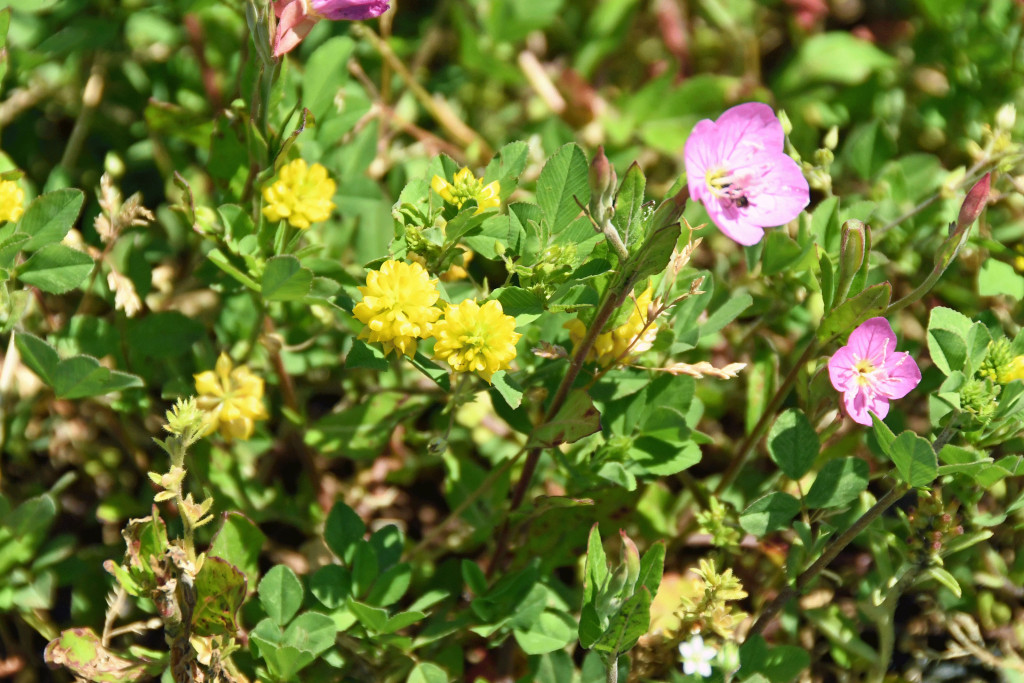 2020年5月7日撮影