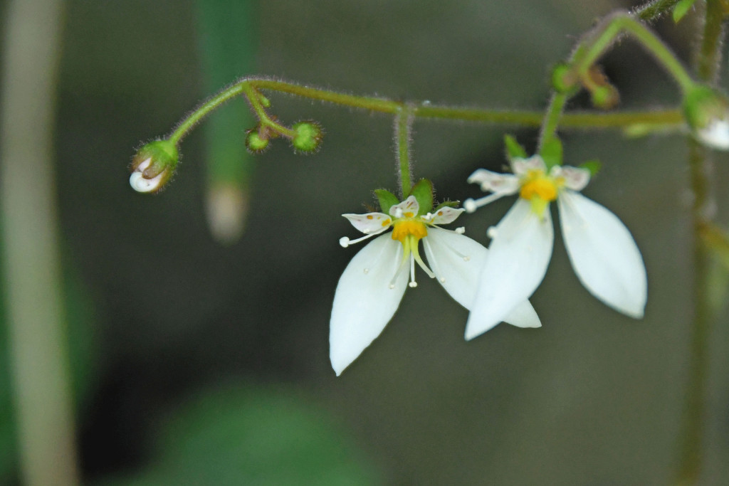 2020年5月14日撮影