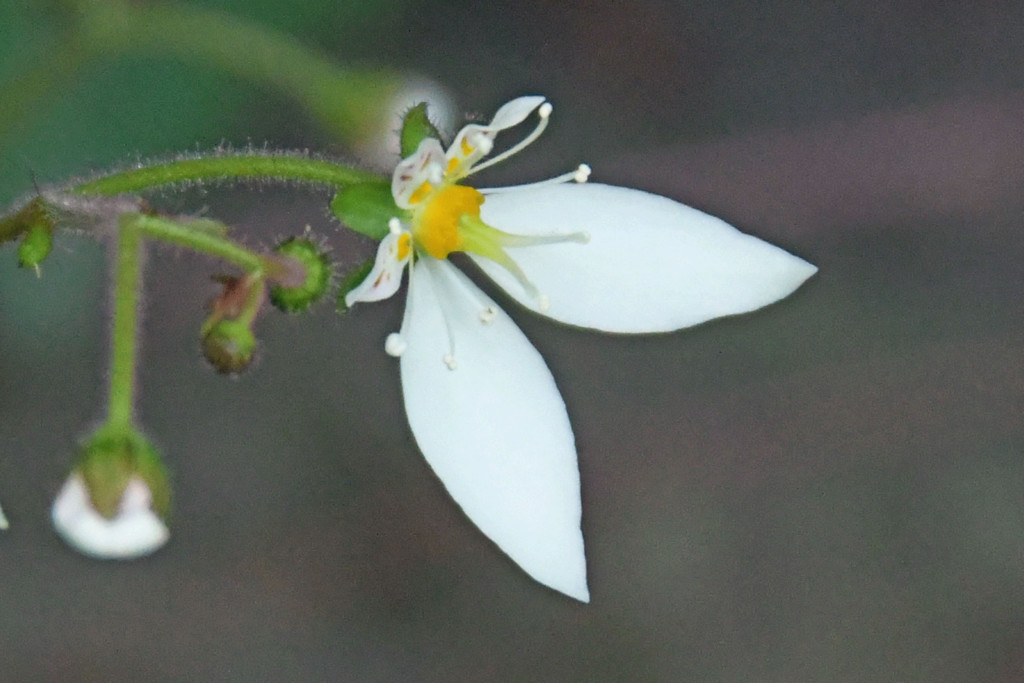 2020年5月14日撮影