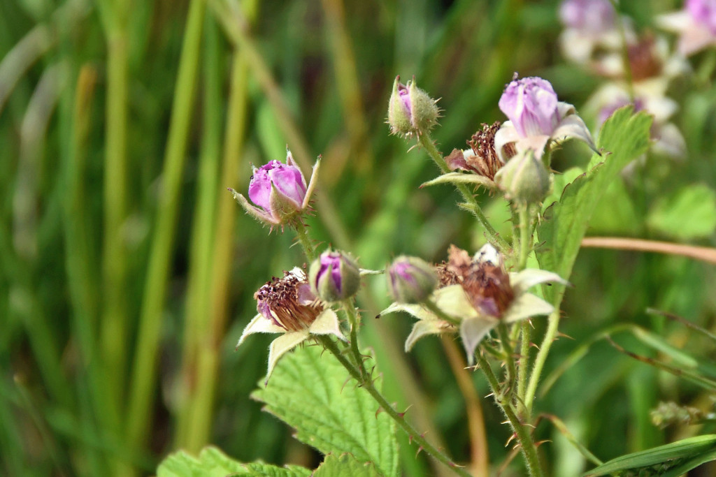 2020年5月14日撮影