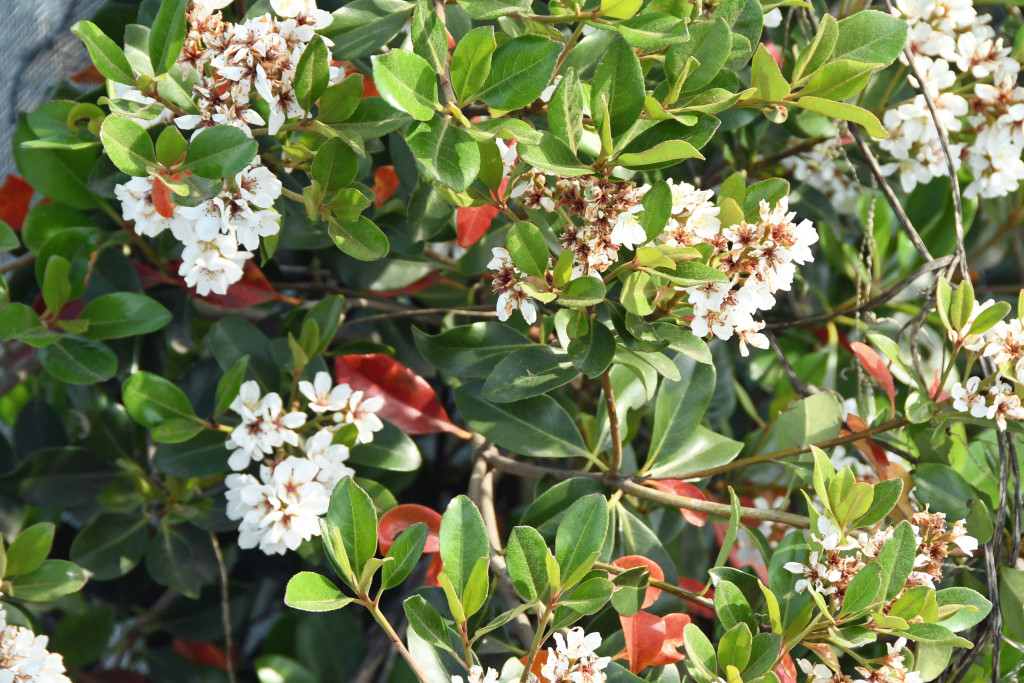 2020年5月14日撮影